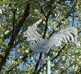 Unterwegs im Thüringer Wald bei Friedrichroda