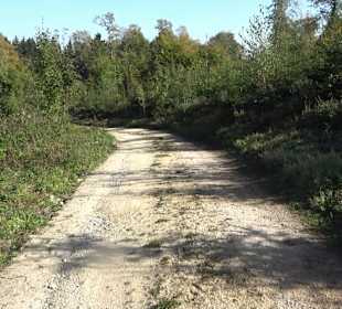 Bussen Schöpfungsweg Offingen