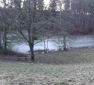 Ochsenweiher