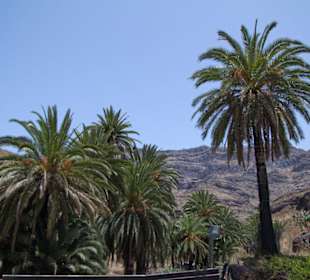 Ausblick von der Terrasse