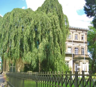 Ansicht ab der Straße Neustadt