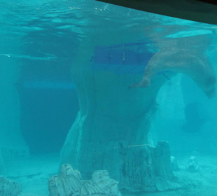 Aquarium / Oceanongrafic