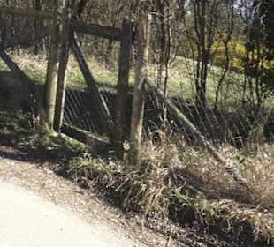 HAP Grieshaber Rundweg