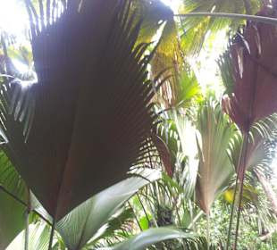 Ausflug mit Mario von Edelweiss Tours