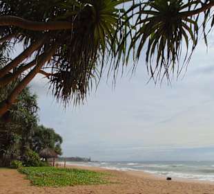 Induruwa Beach