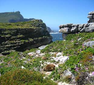 Cape of Good Hope