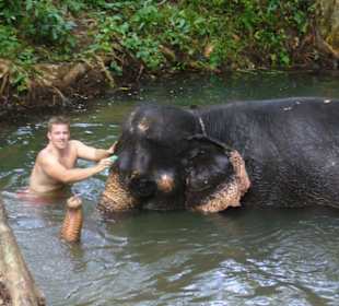 Elefantencamp bei Krabi