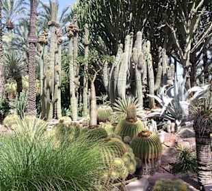 Parc la palmerie a Elche 