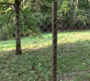 Altwege Rundwanderung Bebenhausen