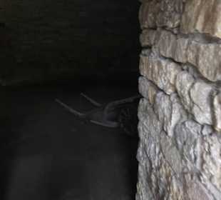 Hohenloher Freilandmuseum