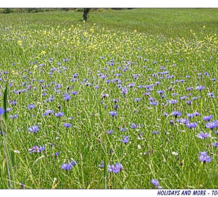 Impressionen von der Chalkidiki