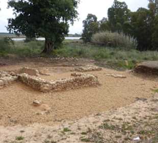 Ausgrabungen im Naturschutzgebiet Ria Formosa