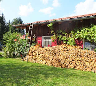 Ambiente des Innenhofes im Rosenauer Hofbräu