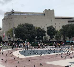 Platz von Katalonien