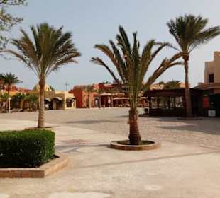 Ausflug El Gouna mit Alex Andra