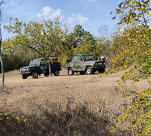 Jeep Safari Goldstrand