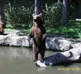 Tierpark Hagenbeck