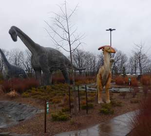 Niagara Falls Stadt- Dinosaurier Park