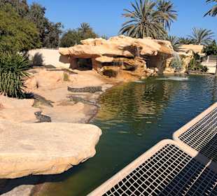 Krokodilfarm Animalia