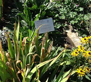 Klosterkirche Maria Gnadenzell