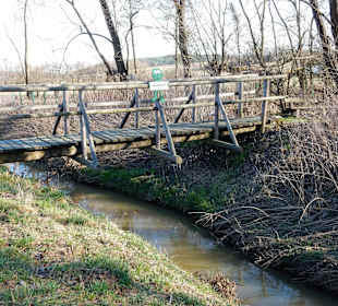 Brücke zum Auwald