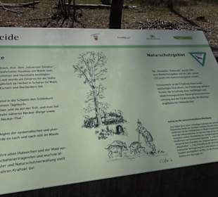 Waldkulturerbe Neuweiler Viehweide
