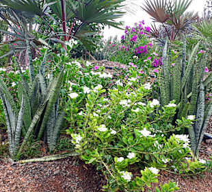 Botanischer Garten Viveiro