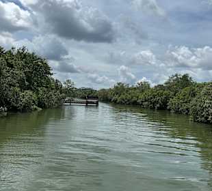 Sungei Buloh Wetland Reserve