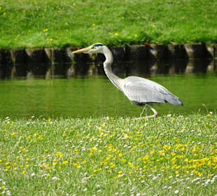 Im Park des Schloßes Schwerin