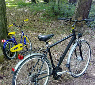 Pfälzerwald Tour in Waldfischbach-Burgalben