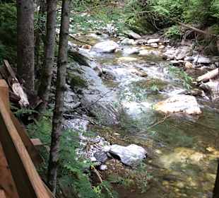 Wandern Donnersbachwald