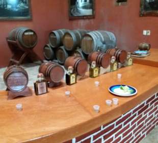 Tequilla Verköstigung