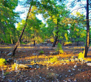 Sulahikulle - Vergessene Stadt