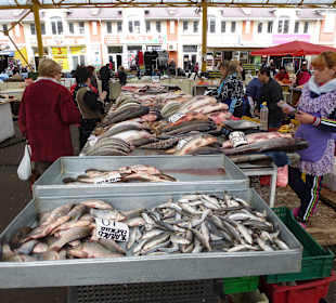 Fischmarkt im Wochenmarkt