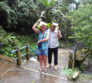 Git Git Wasserfall bei Regen