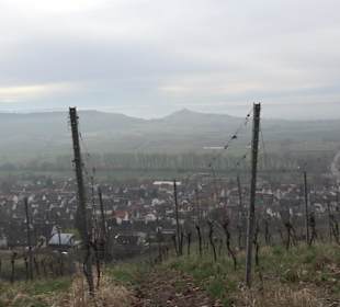 Unterjesinger Wengertwegle