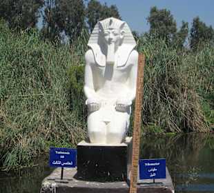 Pharao Tutmosis III