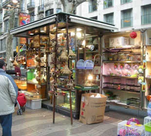 Una bancarella sulla Rambla degli uccelli