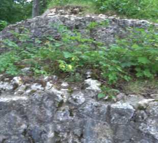 Burg Alt-Lichtenstein