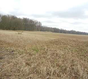 Naturschutzgebiet Boberger Niederung