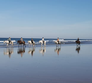 Reitstall Finca el Anfora Conil
