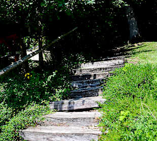 Wandern Lohr am Main