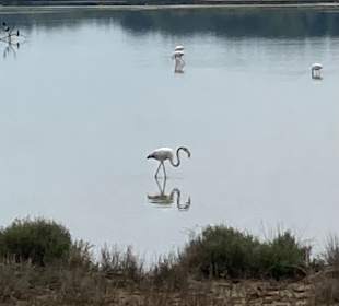 Naturschutzgebiet Valle Cavanata
