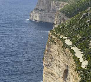 Klify Dingli