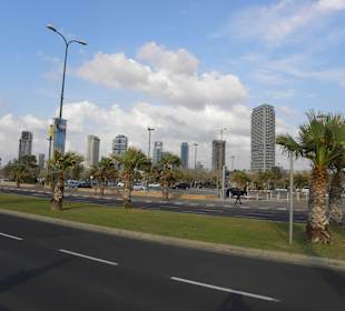 Tel Aviv beach 15