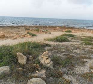 Naturschutzgebiet Son Real