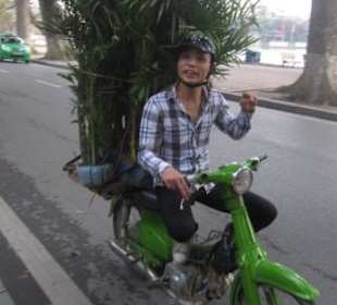 Lastenesel der anderen Art