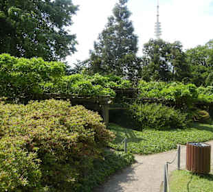 Parkanlage Planten un Blomen