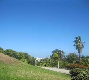 Park