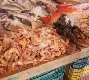 Fischmarkt in Hurghada